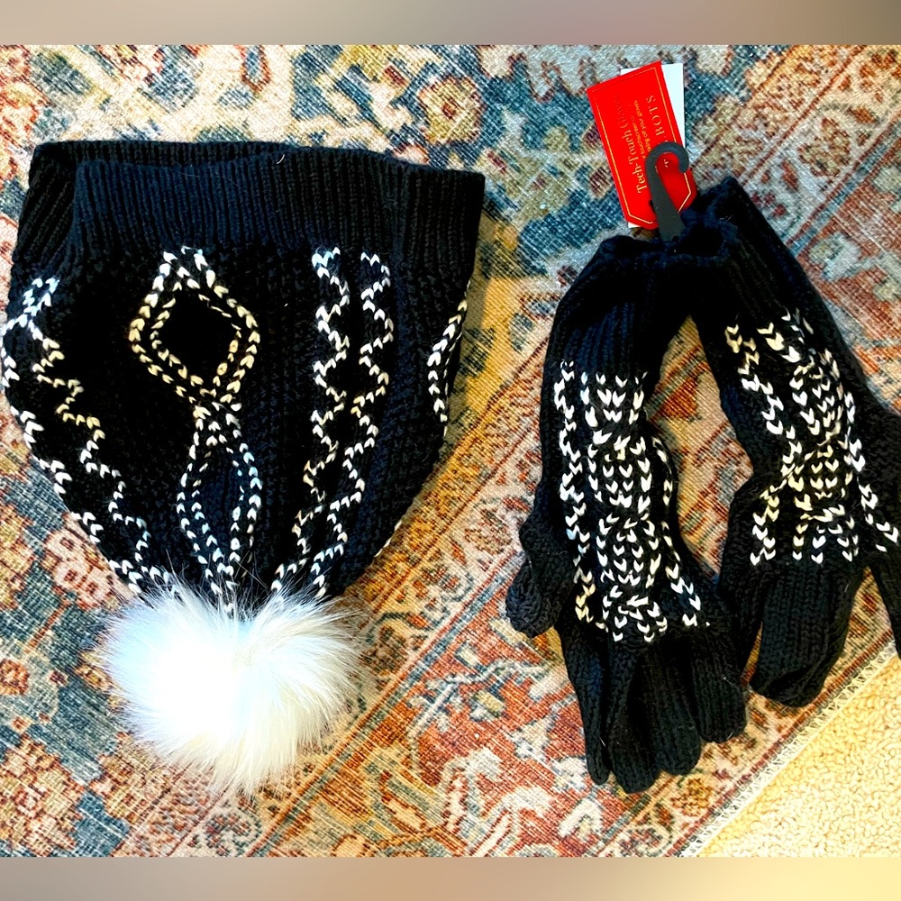 Brand new Talbots Beanie and gloves set